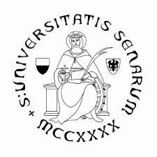 PhD opportunities in Storia economica Università di Siena (deadline 9 giugno 14&nbsp;CEST).