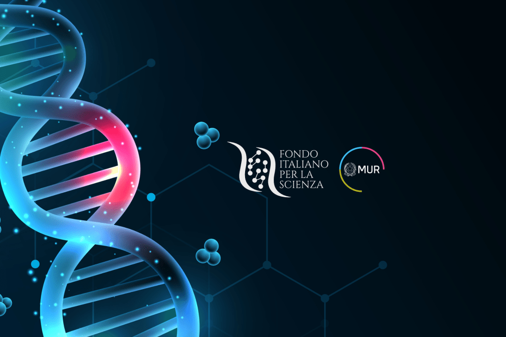 Bando FIS 2024: finanziati due progetti di Storia&nbsp;Economica